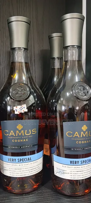 CAMUS Congnac