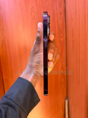Apple iPhone 14 Pro Max 256 GB Graphite