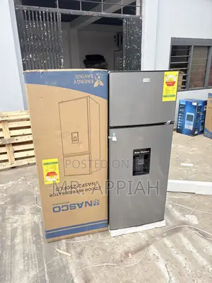 High Quality Nasco Nasf2-250fld 210L Double Door Refrigerator(Gray).