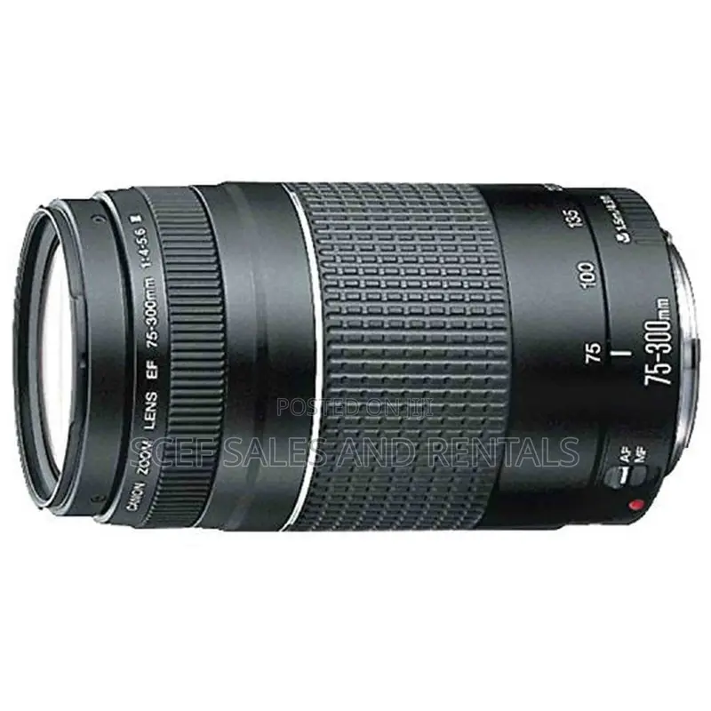 Canon EF75-300mm for Rent