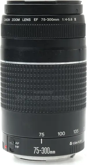 Canon EF75-300mm for Rent