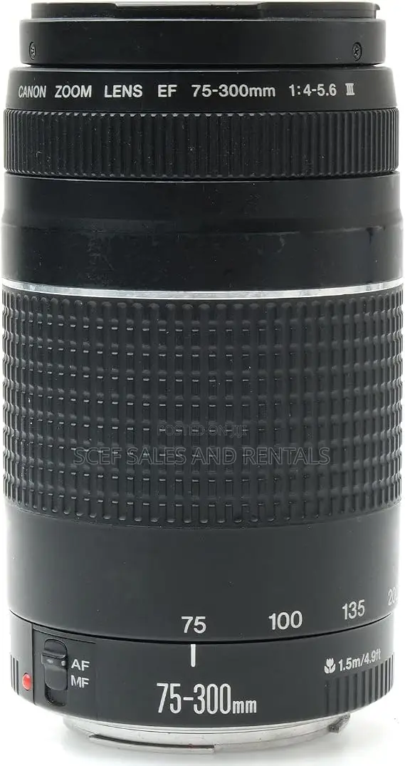 Canon EF75-300mm for Rent