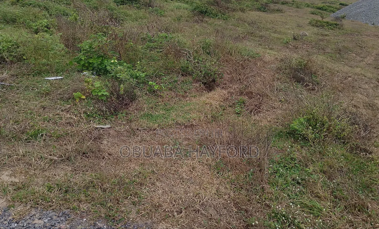 Affordable Registered Lands for Sell