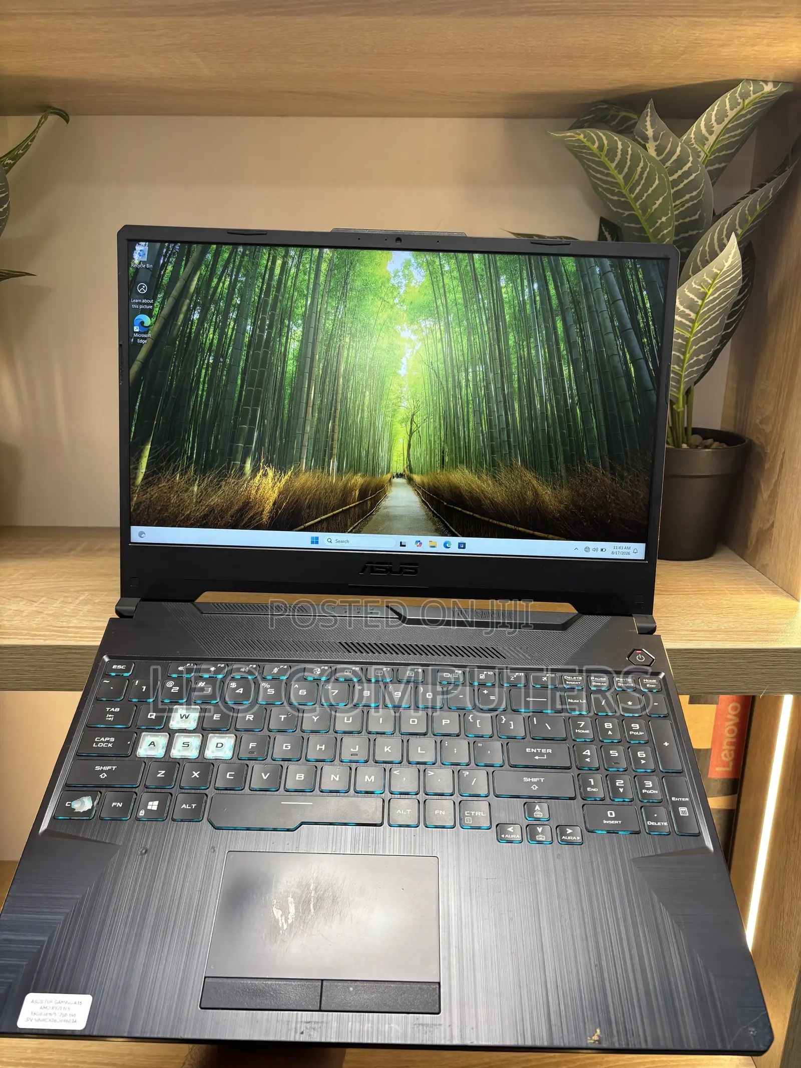 Laptop Asus TUF Gaming A15 16GB AMD Ryzen 5 SSD 512GB