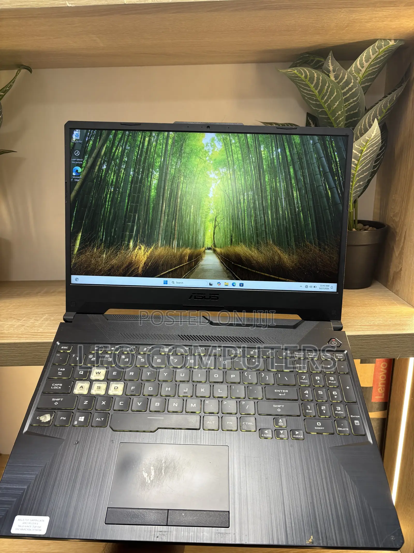 Laptop Asus TUF Gaming A15 16GB AMD Ryzen 5 SSD 512GB