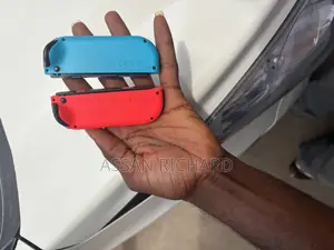 Original Nintendo Switch Joy-Con