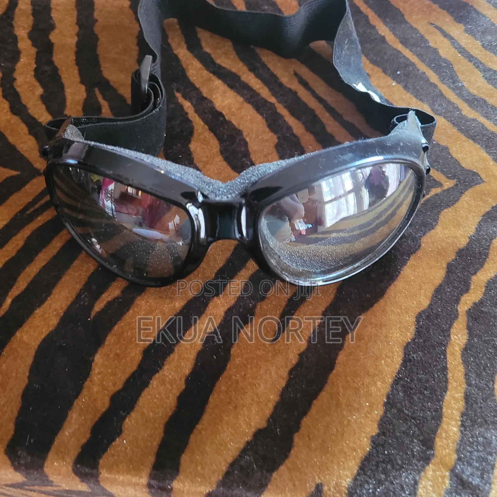 Motorcycle Goggles (New)