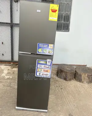 Quality Nasco Nasd2-29sk 251L 2 Door Refrigerator(Gray) 