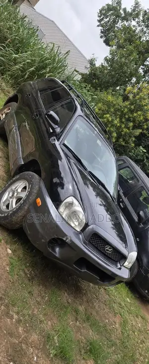 Hyundai Santa Fe 2004 Black