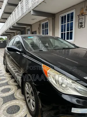 Hyundai Sonata 2011 Black