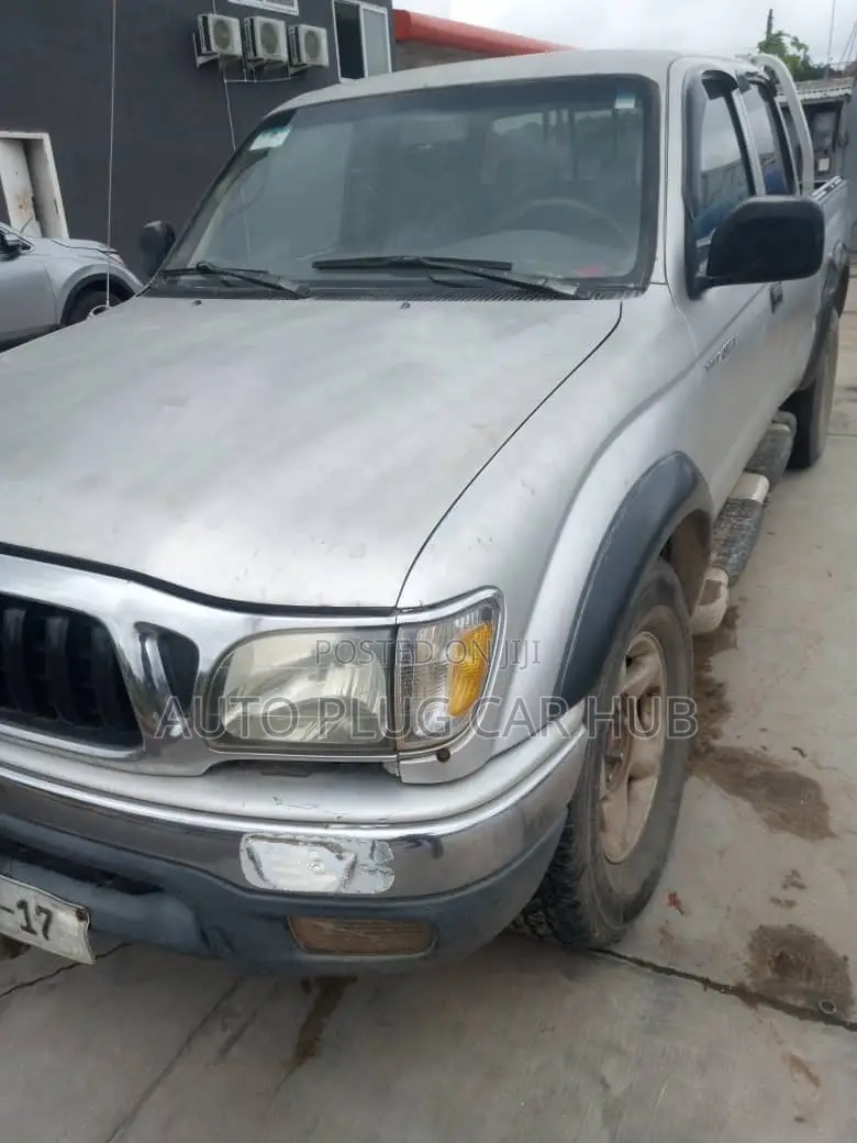 Toyota Tacoma 2007 Gray