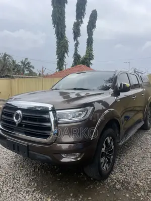 Great Wall King Kong Poer 2021 Brown