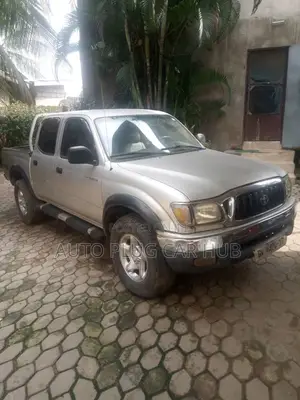 Toyota Tacoma 2007 Gray