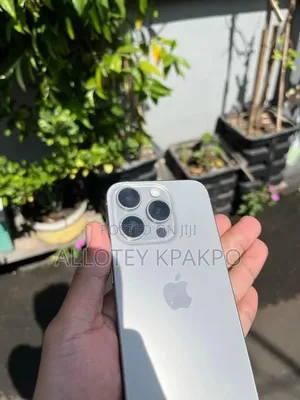 Apple iPhone 15 Pro Max 256 GB Silver