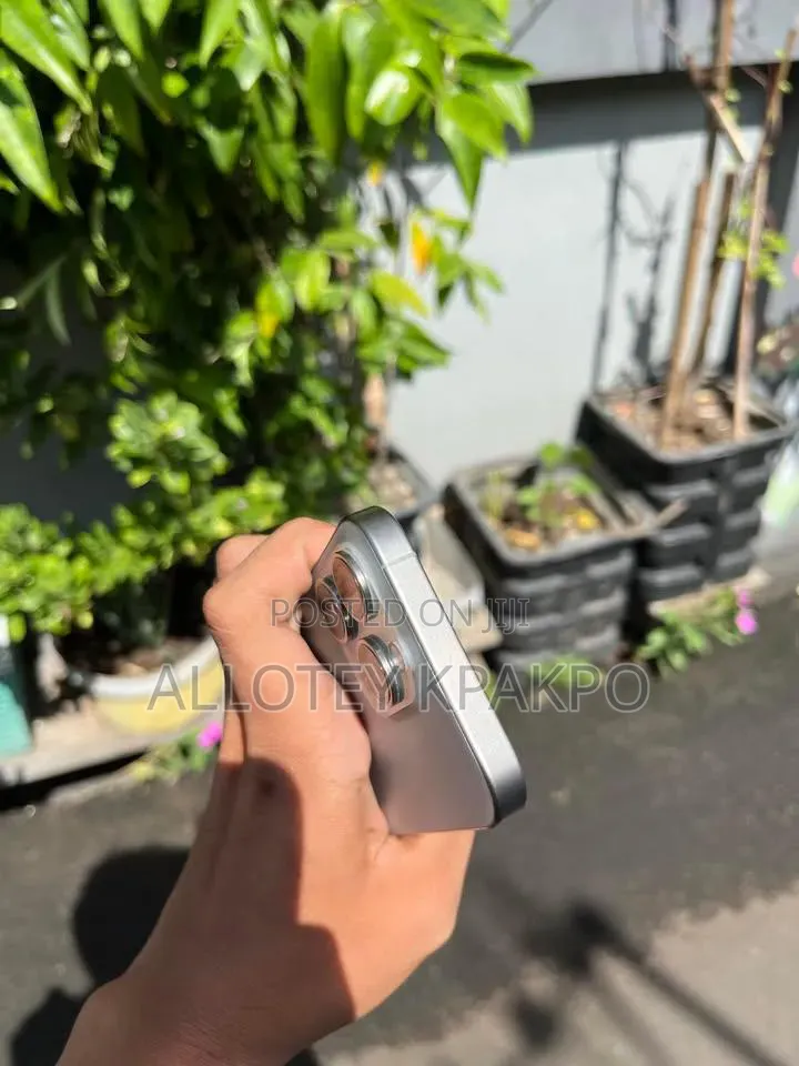 Apple iPhone 15 Pro Max 256 GB Silver