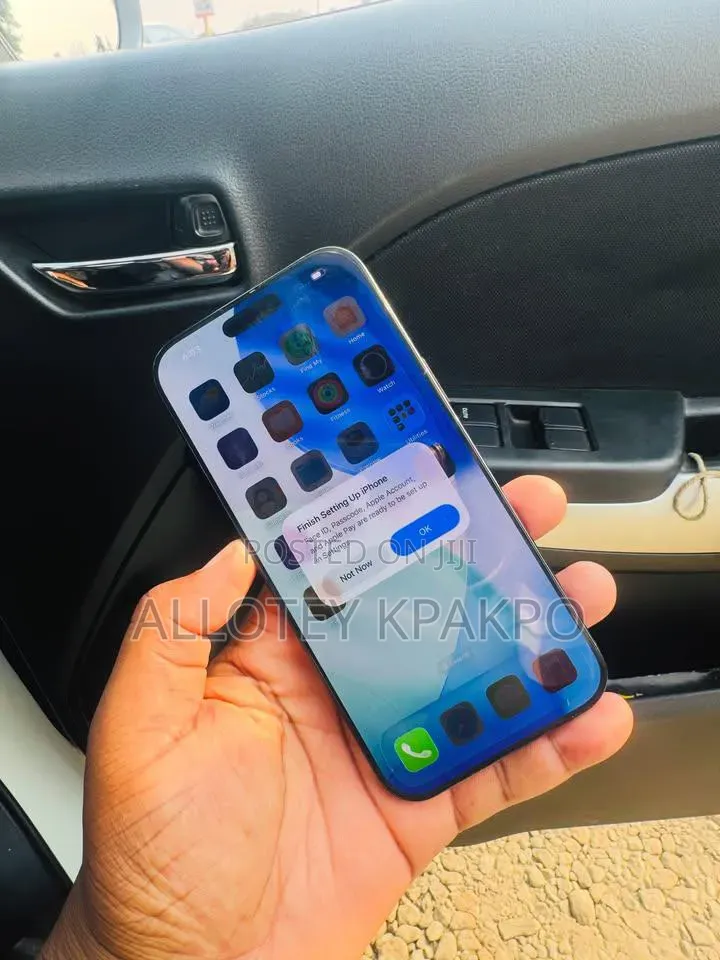 Apple iPhone 16 Pro Max 256 GB Black