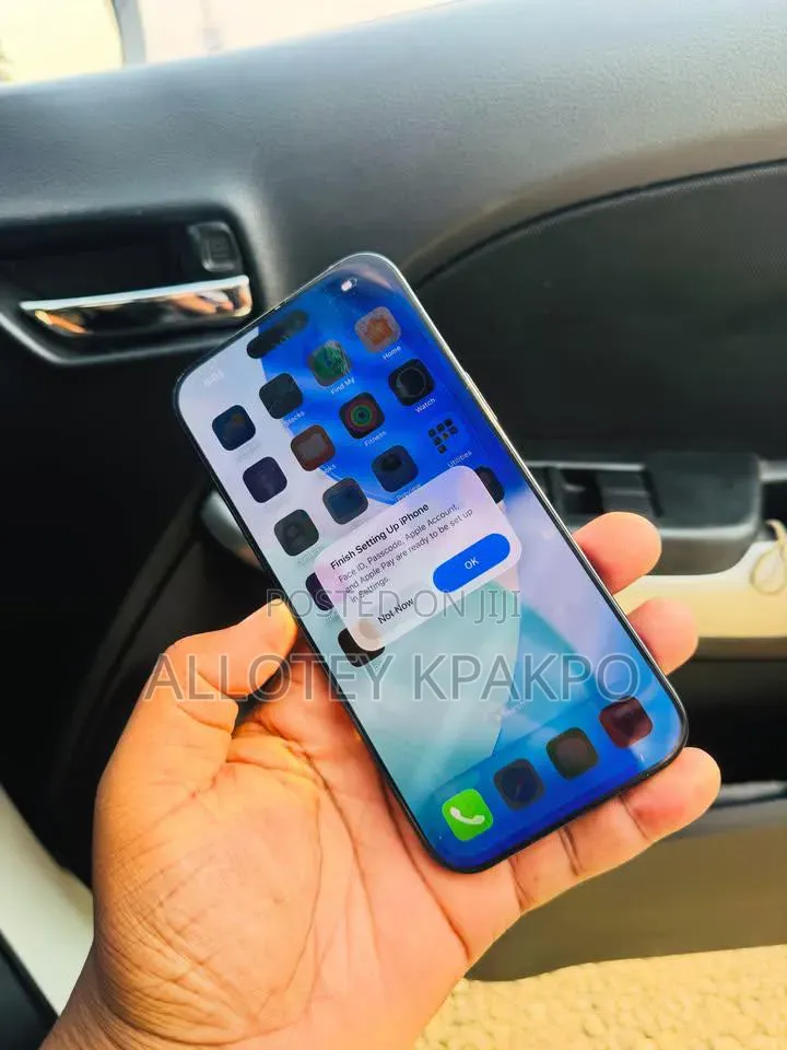 Apple iPhone 16 Pro Max 256 GB Black