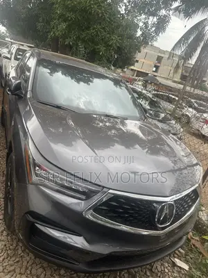 Acura RDX Advance Pkg AWD 2019 Gray
