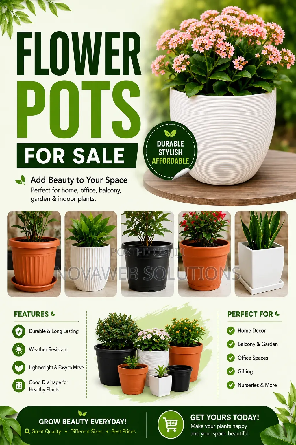 Flower Pot