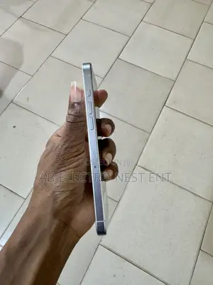 Apple iPhone 15 Pro Max 256 GB Silver