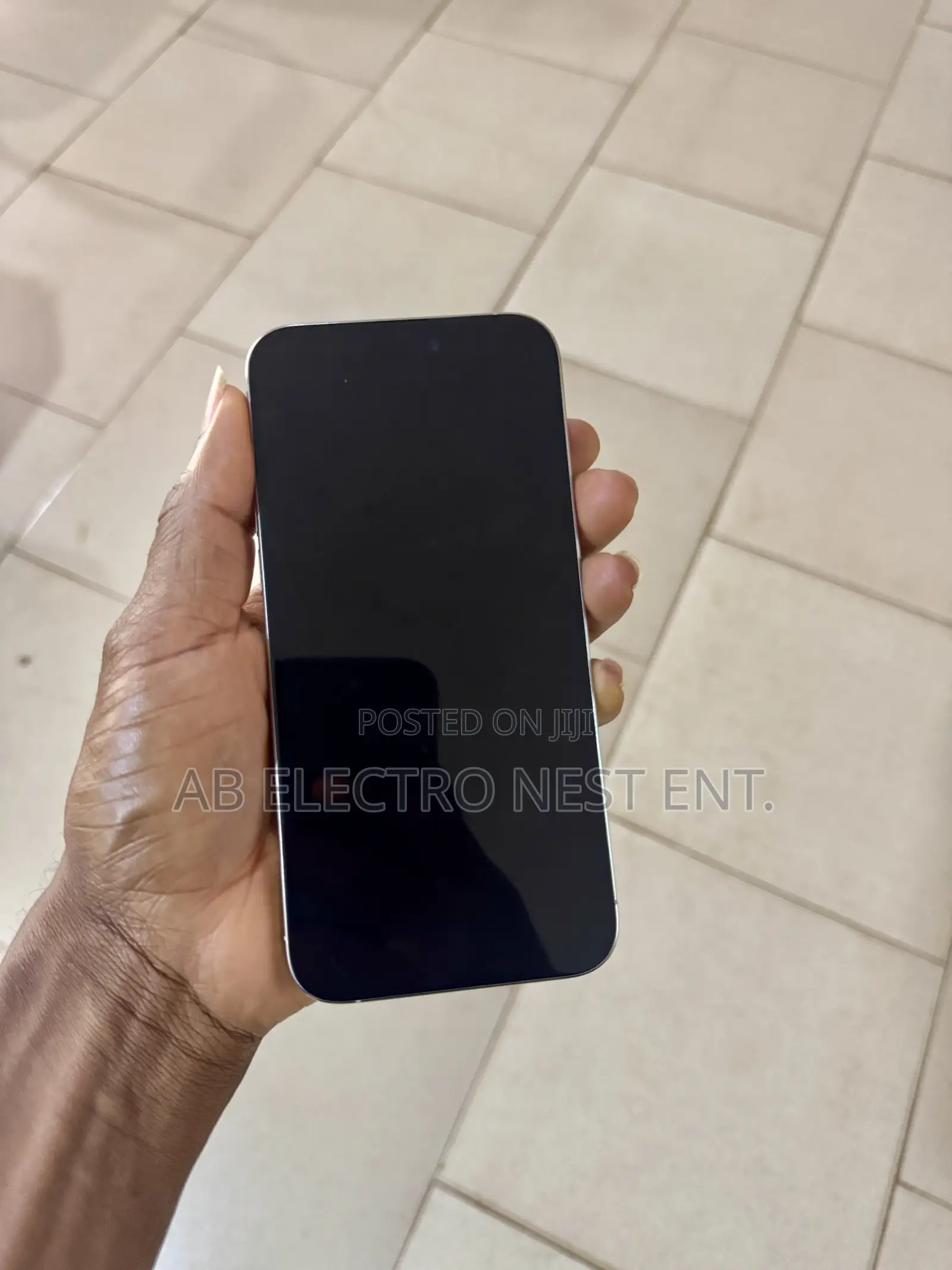 Apple iPhone 15 Pro Max 256 GB Silver