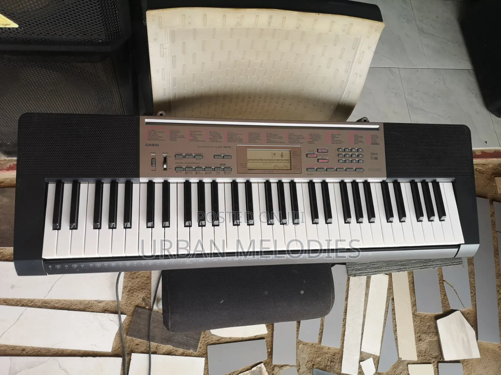 Casio LK-165 Portable Lighted-Key Electronic Keyboard