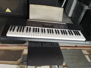 Casio LK-165 Portable Lighted-Key Electronic Keyboard
