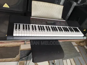 Casio LK-165 Portable Lighted-Key Electronic Keyboard