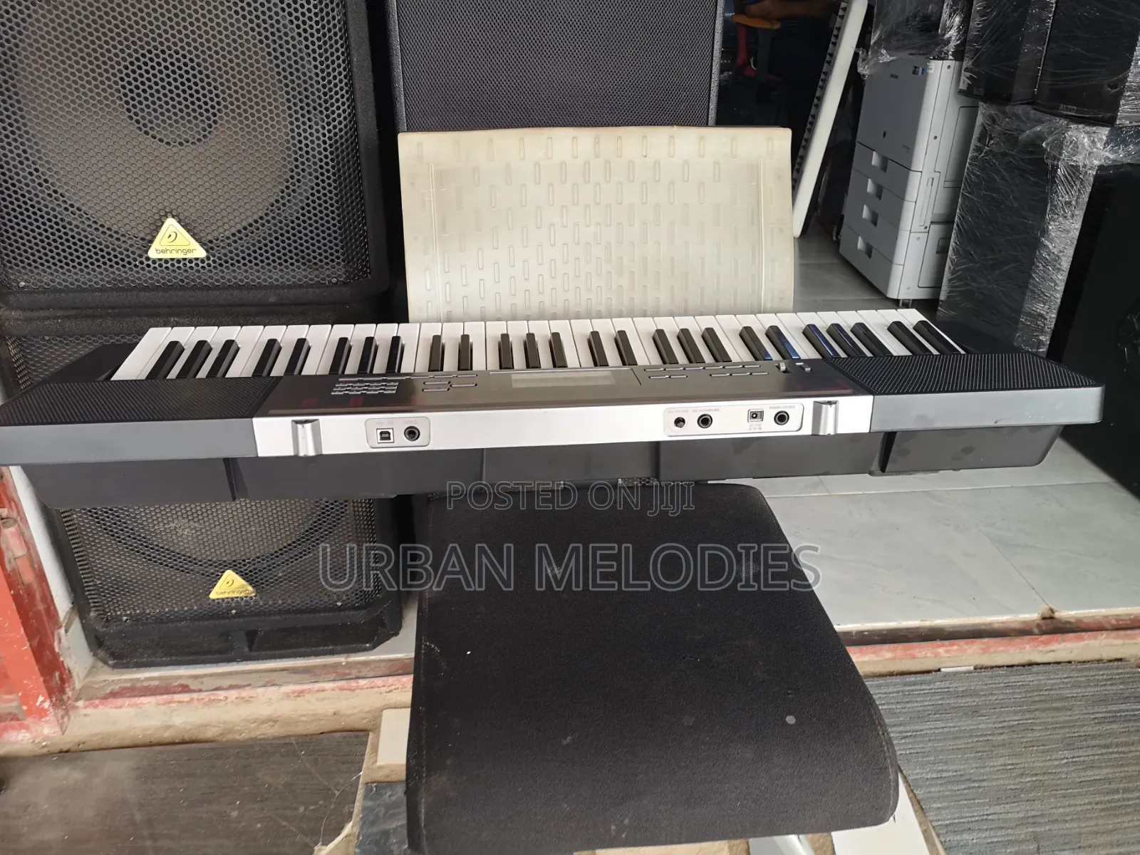 Casio LK-165 Portable Lighted-Key Electronic Keyboard