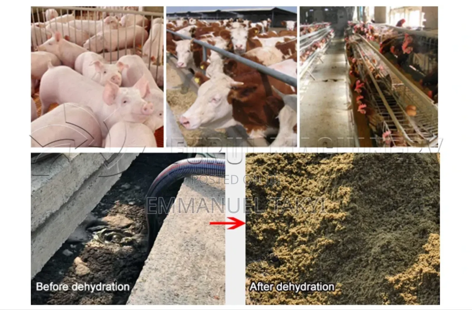 Manure Dryer Machine