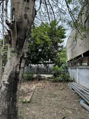 4bdrm House in Abofu for sale
