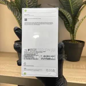 New Apple iPhone 16 Pro 256 GB Gray