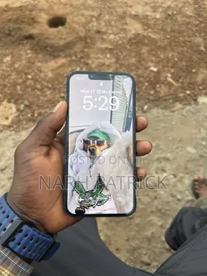 Apple iPhone 13 128 GB Blue
