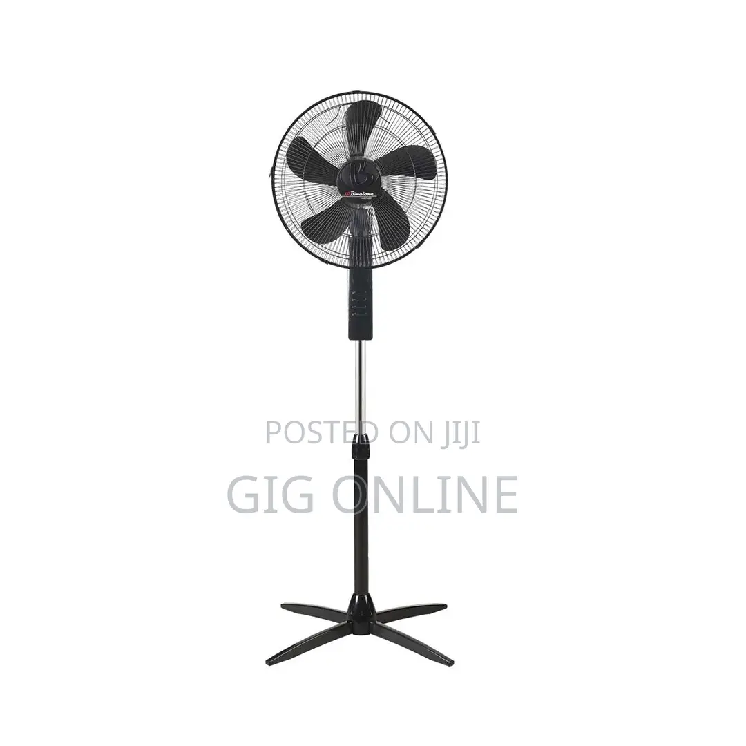Standing Fan