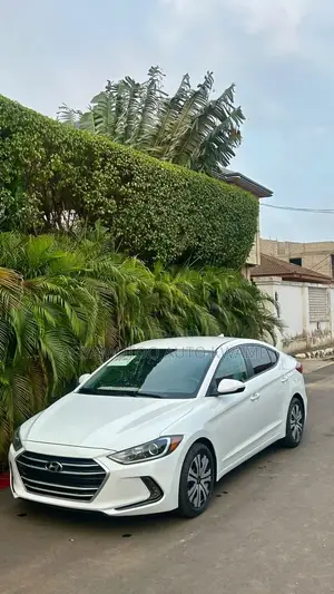 Hyundai Elantra ECO Sedan FWD (1.4L 4cyl 7A) 2017 White
