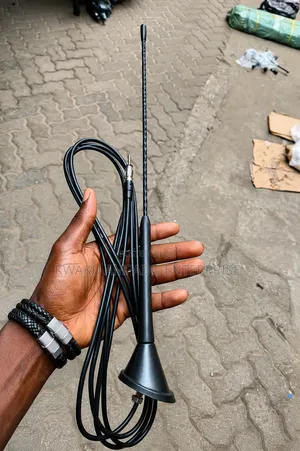 Astra Pole Car Roof Antenna - Universal