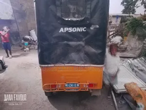 Apsonic AP150ZK 2024 Yellow