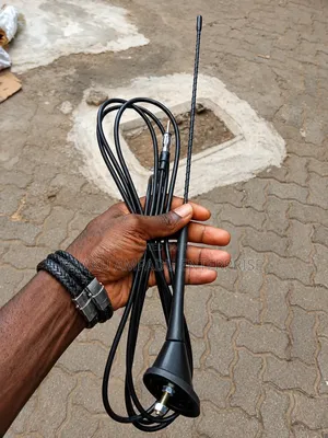 Astra Pole Car Roof Antenna - Universal