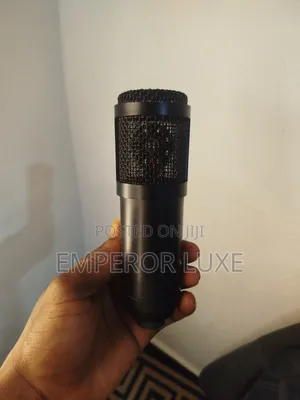 Professional Studio Condenser Microphone – Clear Sound Recording Mic