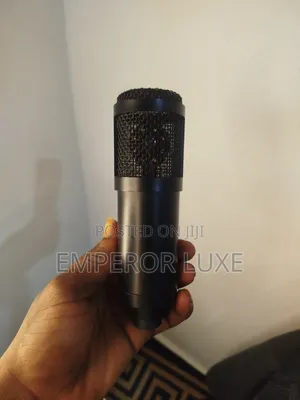 Professional Studio Condenser Microphone – Clear Sound Recording Mic