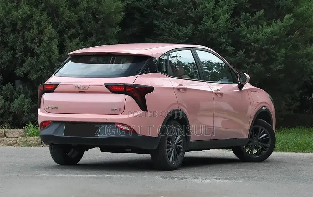 Car 2023 Pink