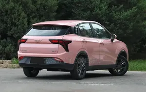 Car 2023 Pink