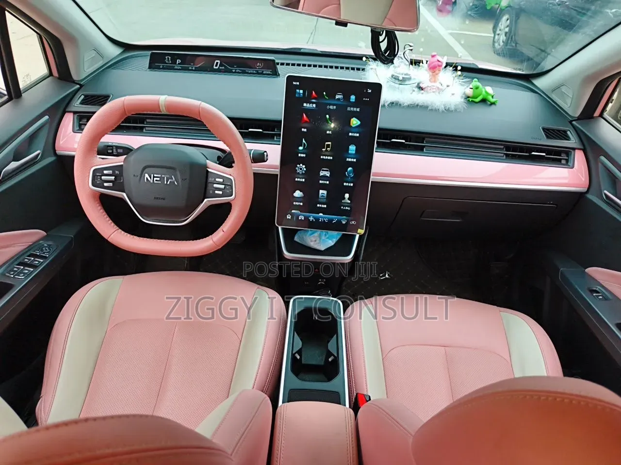 Car 2023 Pink