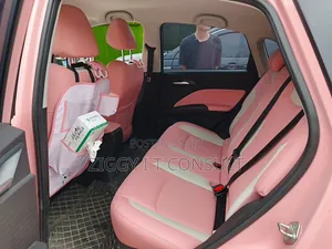 Car 2023 Pink