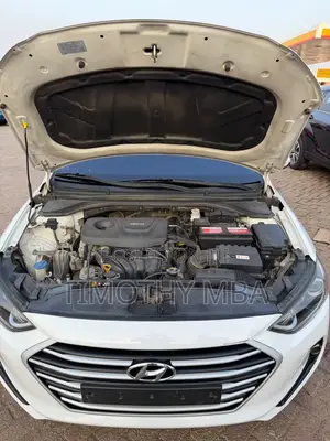 Hyundai Avante 2017 White