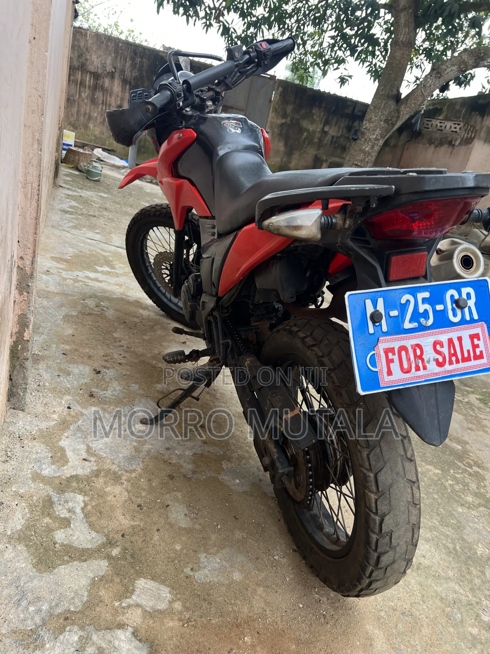 Apsonic AP200GY-3 2025 Red