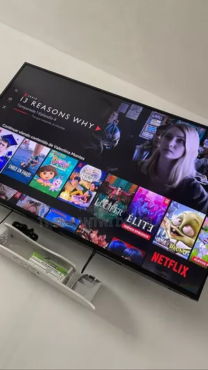 Netflix Subscription Account