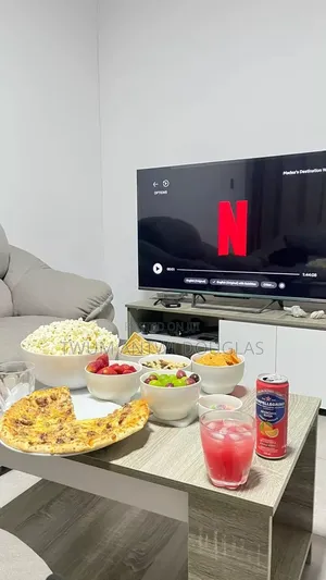 Netflix Subscription Account