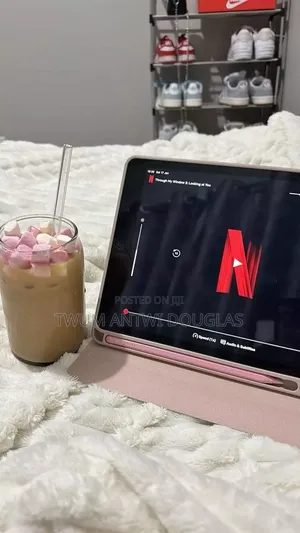 Netflix Subscription Account