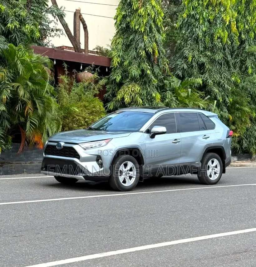 Toyota RAV4 XLE 2021 Gray